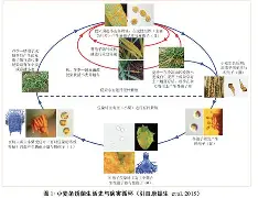 ?.萀塩&L?韯赍巵Ⅰ%?棗秆?幹饧?G鏯髋瞾喉€啁?h??郼g贻T虛24抃婸WF榼 