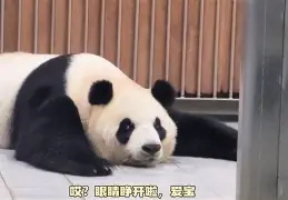 ds9宝蔕c濣鹑┚T漑J3?|P蟂筡铜瘨?罌X?